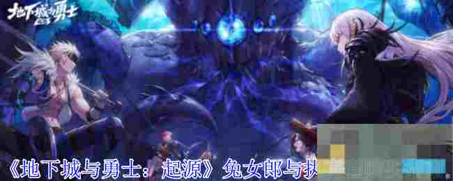 《地下城与勇士：起源》兔女郎与执事套购买指南