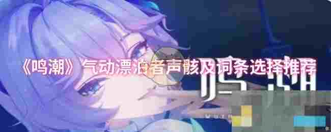 《鸣潮》气动漂泊者声骸及词条选择推荐