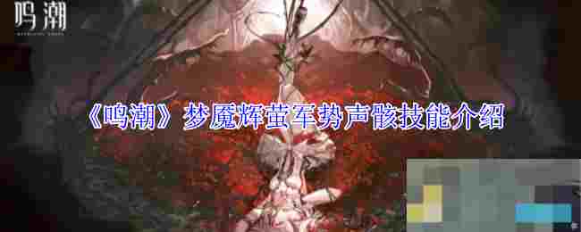 《鸣潮》梦魇辉萤军势声骸技能介绍