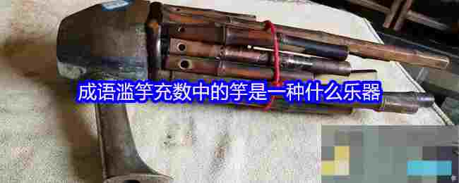 成语滥竽充数中的竽是一种什么乐器