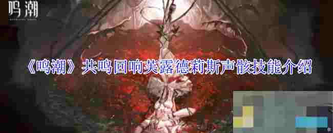 《鸣潮》共鸣回响芙露德莉斯声骸技能介绍