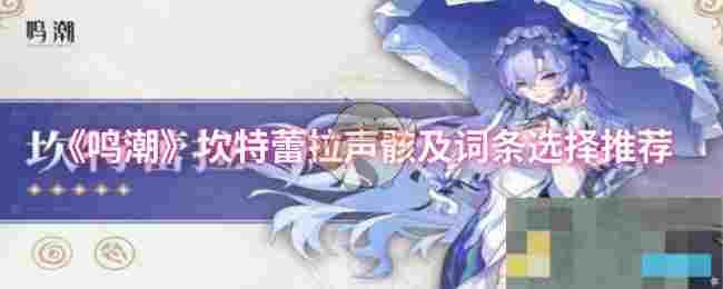 《鸣潮》坎特蕾拉声骸及词条选择推荐