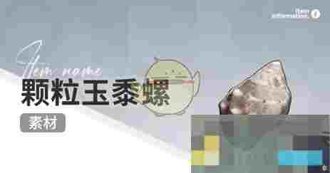 《开放空间》赶海收集物出现时间