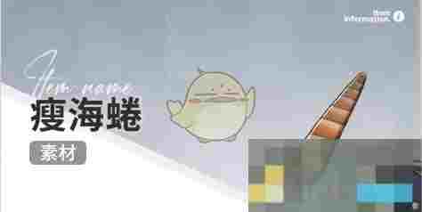 《开放空间》赶海收集物出现时间