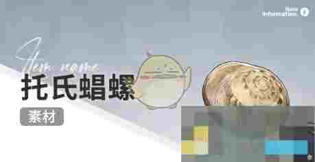 《开放空间》赶海收集物出现时间