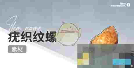 《开放空间》赶海收集物出现时间