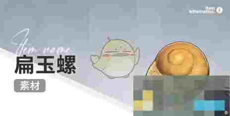 《开放空间》赶海收集物出现时间