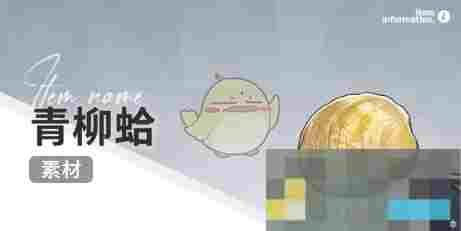 《开放空间》赶海收集物出现时间