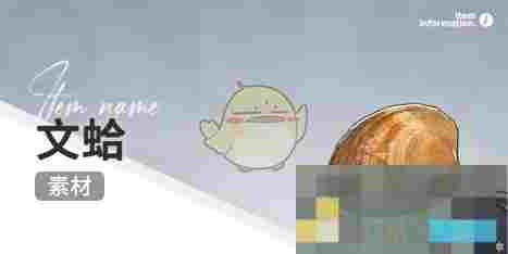 《开放空间》赶海收集物出现时间