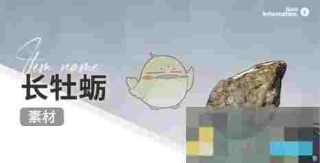 《开放空间》赶海收集物出现时间