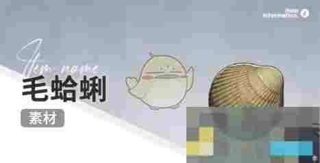 《开放空间》赶海收集物出现时间