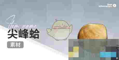 《开放空间》赶海收集物出现时间