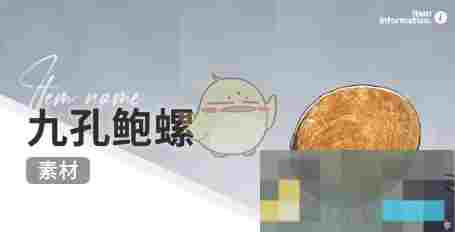 《开放空间》赶海收集物出现时间