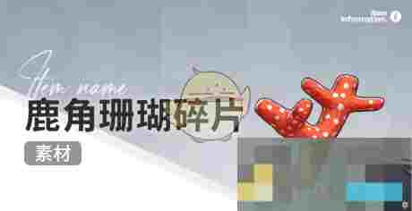 《开放空间》赶海收集物出现时间