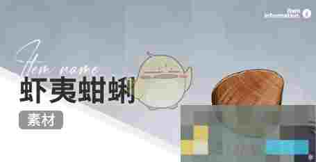 《开放空间》赶海收集物出现时间