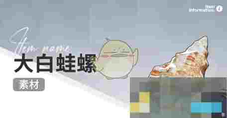 《开放空间》赶海收集物出现时间