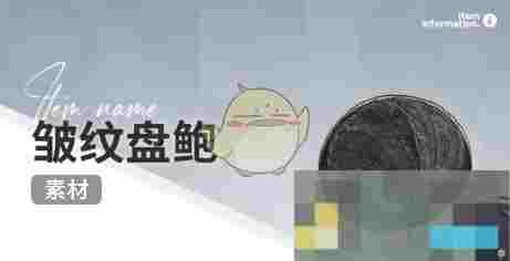 《开放空间》赶海收集物出现时间