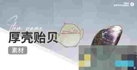 《开放空间》赶海收集物出现时间