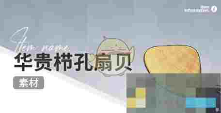 《开放空间》赶海收集物出现时间