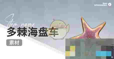 《开放空间》赶海收集物出现时间