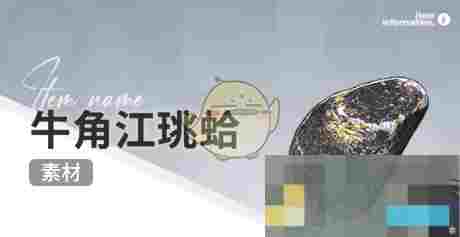 《开放空间》赶海收集物出现时间