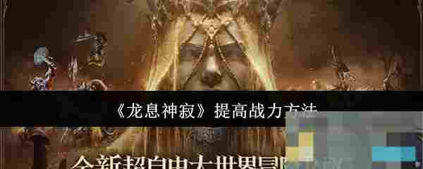 《龙息神寂》提高战力方法