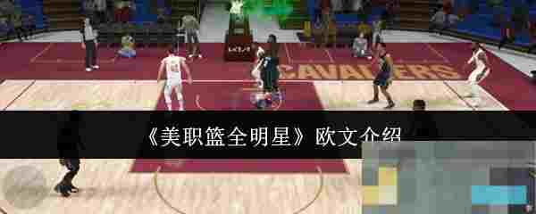 《美职篮全明星》欧文介绍
