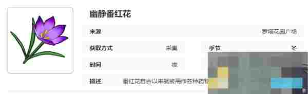 《开放空间》罗塔花园广场采集物图鉴