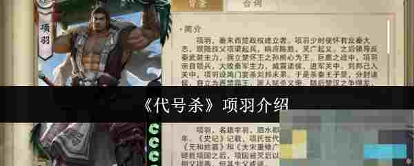 《代号杀》项羽介绍