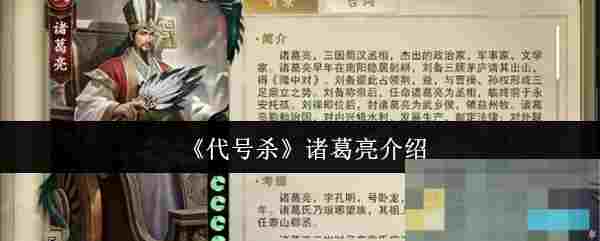 《代号杀》诸葛亮介绍