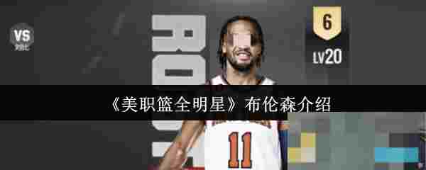 《美职篮全明星》布伦森介绍