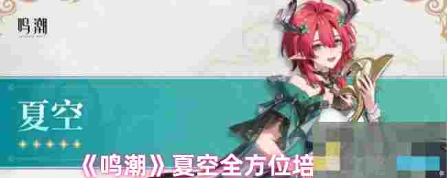 《鸣潮》夏空全方位培养攻略