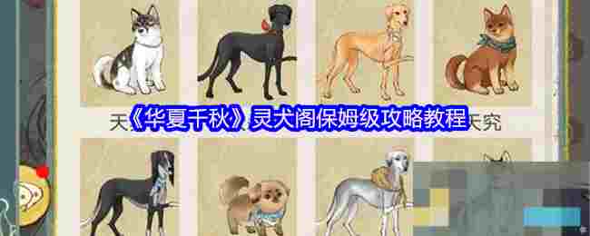 《华夏千秋》灵犬阁保姆级攻略教程
