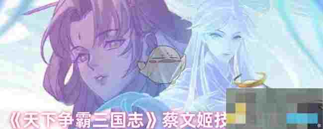 《天下争霸三国志》蔡文姬技能强度测评