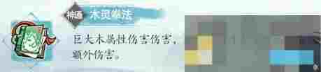 《掌门下山》华彩月伙伴介绍