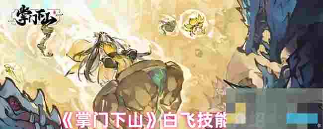 《掌门下山》白飞技能介绍