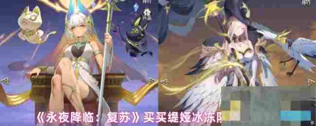 《永夜降临：复苏》买买缇娅冰冻队搭配推荐