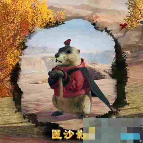 《剑网3》匿沙影宠物奇遇攻略