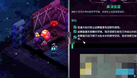 《崩溃大陆2》宠物蛋孵化方法