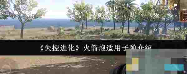 《失控进化》火箭炮适用子弹介绍