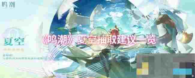《鸣潮》夏空抽取建议一览