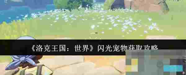 《洛克王国：世界》闪光宠物获取攻略