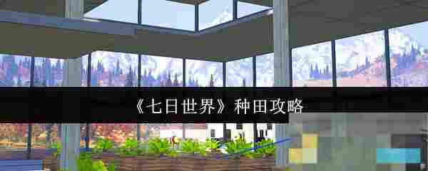 《七日世界》种田攻略