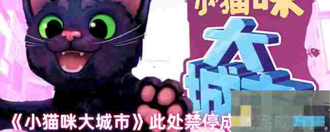 《小猫咪大城市》此处禁停成就完成方法