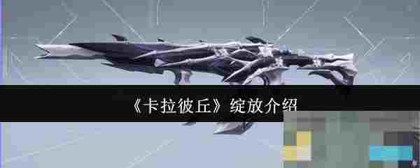 《卡拉彼丘》绽放介绍