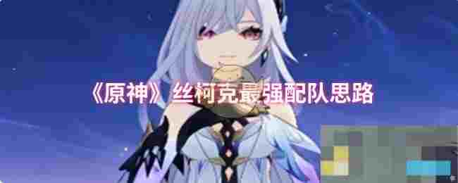 《原神》丝柯克最强配队思路