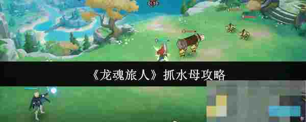 《龙魂旅人》抓水母攻略