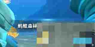 糖果蟹名字由来揭秘游戏内完整介绍