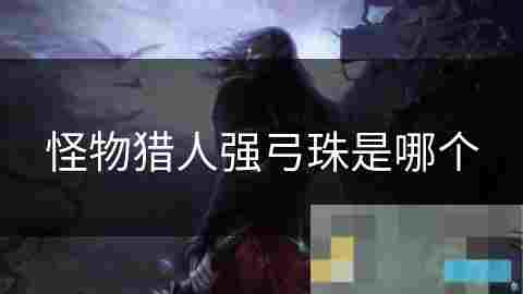 深入了解强弓珠猎人胜利的关键装备