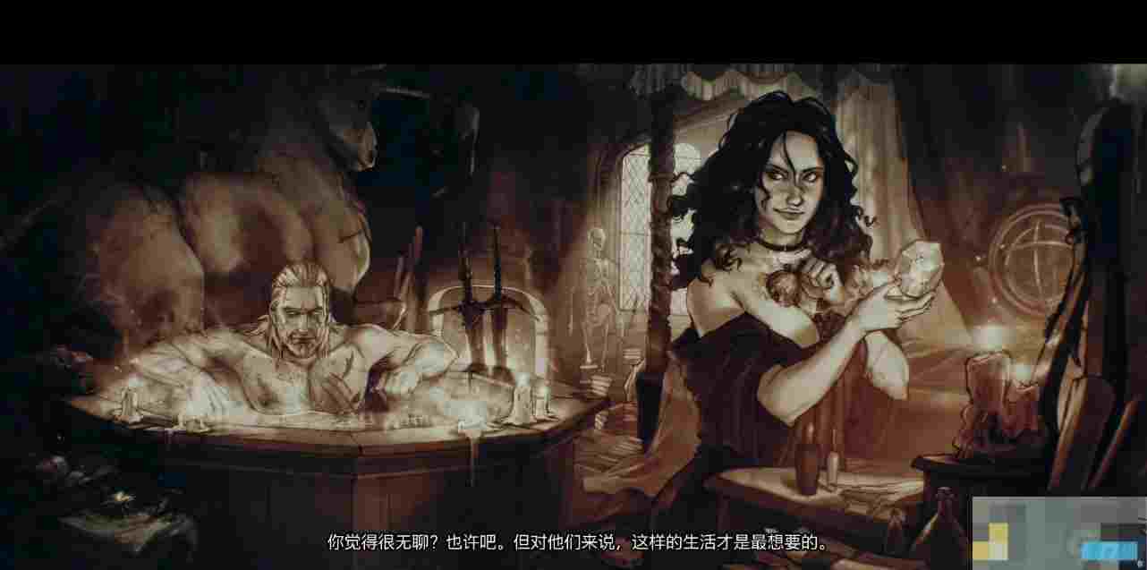 巫师3通关存档一览